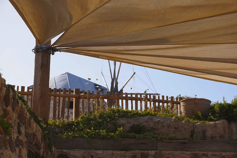 ¡Nuestro jardín con nuestras hierbas aromáticas!